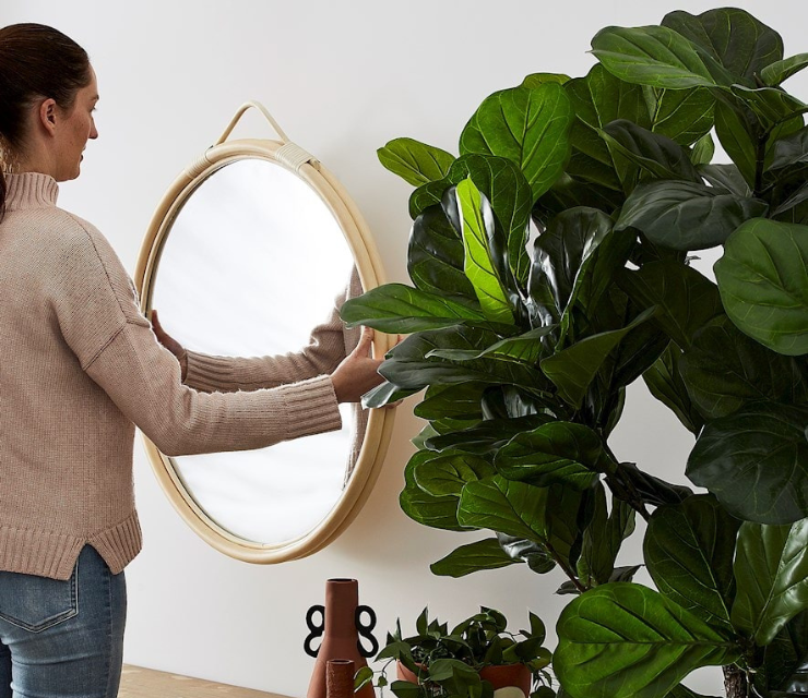 Home Republic Fiddle Fig Potted Plant from Adairs. P